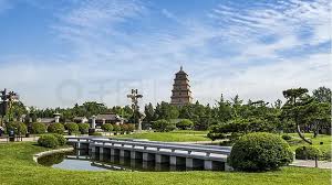 2026世界杯官网 杭州政绿化工程招标公告